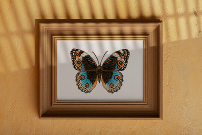Framed Blue Pansy Butterfly painting on a beige wall