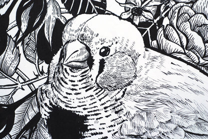 Zebra finch in the roses ink drawing - katerinamitkova